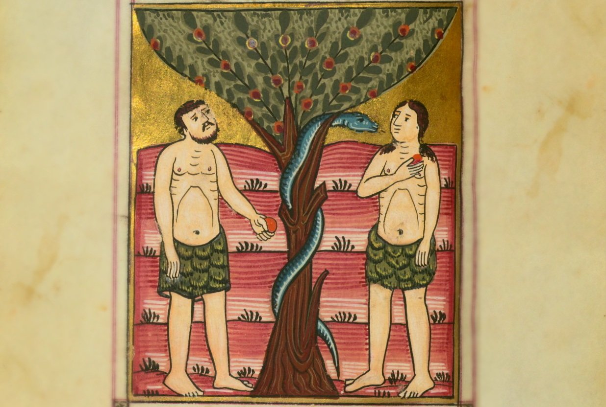 Растения-символы в армянском искусстве: как читать средневековые миниатюры